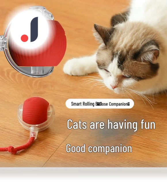 Automatic Self-Entertainment Toy for Kittens — Cat Playthings, TrendVibeCN