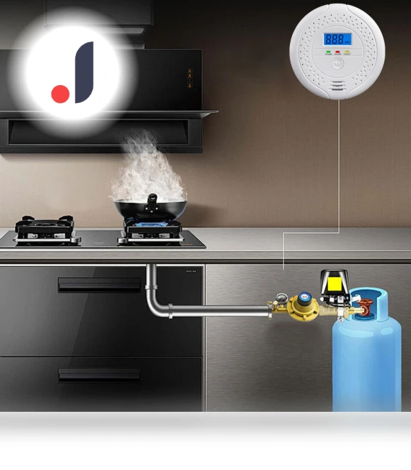 Digital Carbon Monoxide Detector — Carbon Monoxide Detectors, Good Household Items