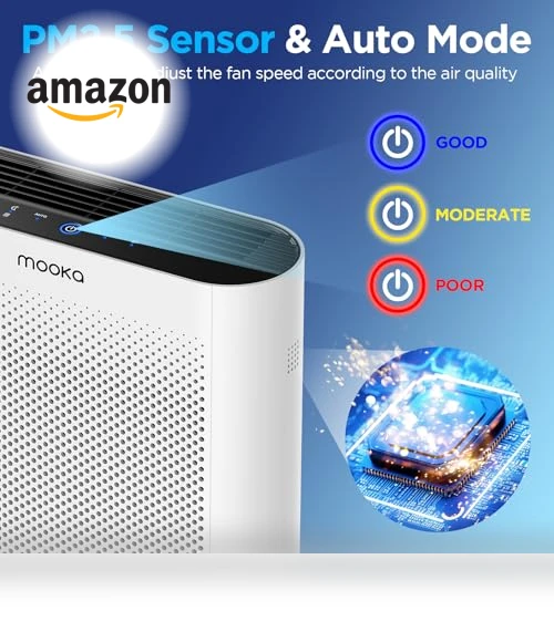 H13 HEPA Air Purifier — Activated Carbon Air Purifiers, Mooka