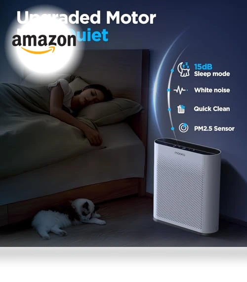 H13 HEPA Air Purifier — Activated Carbon Air Purifiers, Mooka