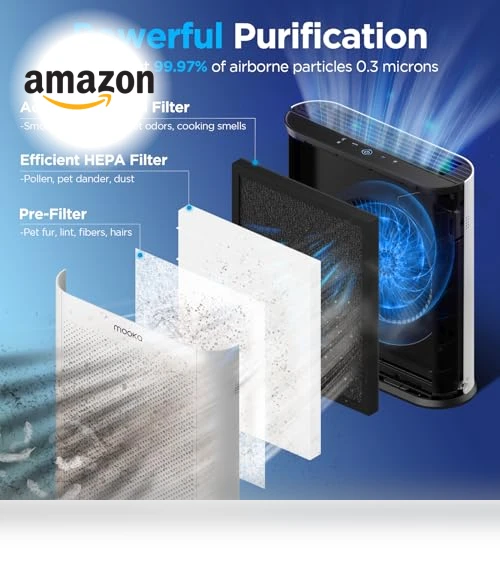 H13 HEPA Air Purifier — Activated Carbon Air Purifiers, Mooka