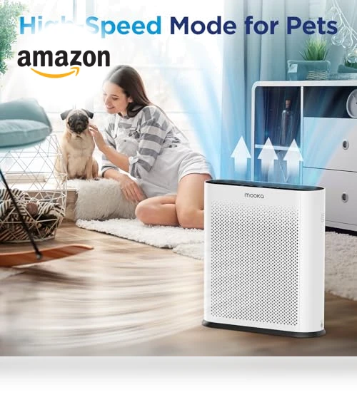 H13 HEPA Air Purifier — Activated Carbon Air Purifiers, Mooka