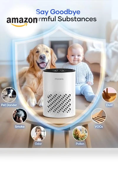 HEPA Air Purifier with Fragrance Sponge — Activated Carbon Air Purifiers, Mooka