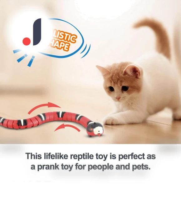 Interactive Automatic Electronic Snake Toy for Cats — Cat Playthings, RUI RUI YU 4