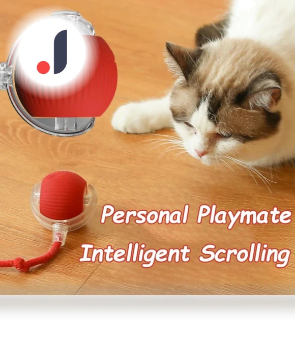 Interactive Cat Toy Ball — Cat Playthings, KITCHEN-MALL