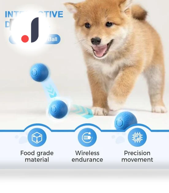 Interactive Pet Ball Toy — Interactive Animal Companions, Kitty Cat House