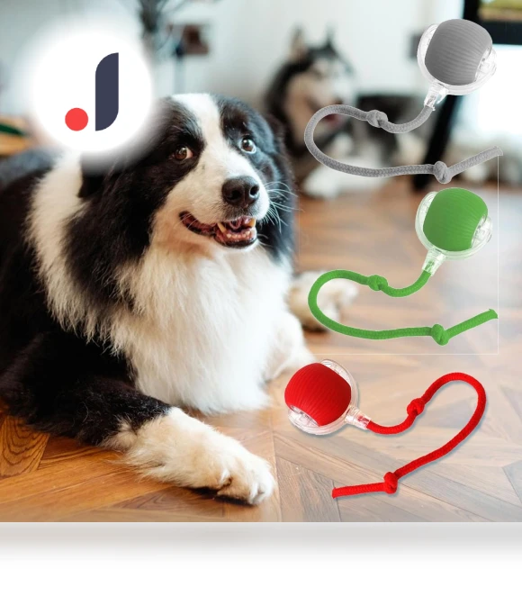 Interactive Pet Toy Ball — Cat Playthings, kaixindianpu