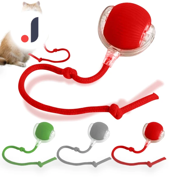 Interactive Pet Toy Ball — Interactive Animal Companions, Jiangnan A