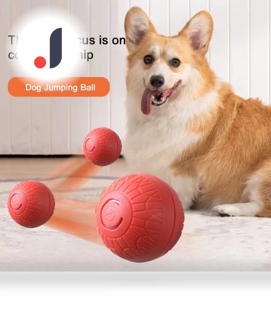 Interactive Pet Toy Ball — Interactive Animal Companions, yangyizhi