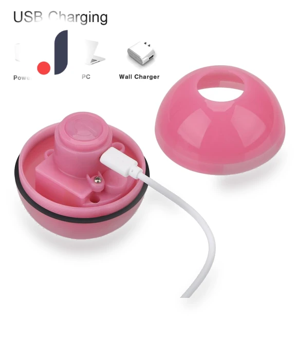 Rotating LED Ball — Interactive Animal Companions, Modern Home Furnishing