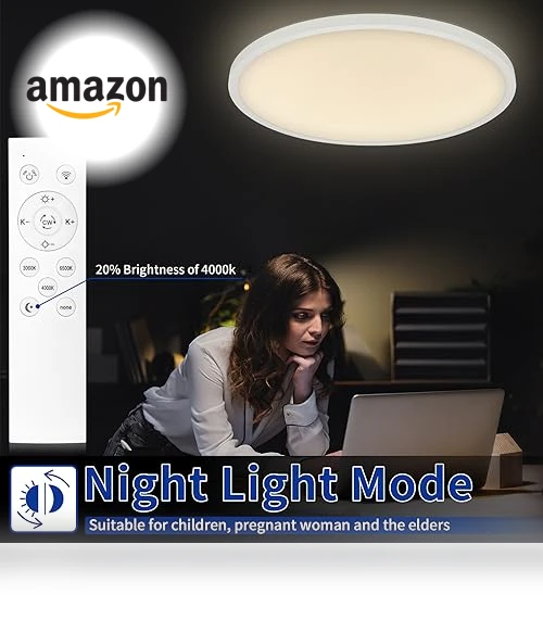 20'' LED Ceiling Light Fixture — Overhead Lighting, Glowall