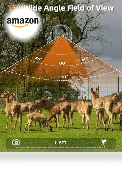 Trail Camera — Outdoor & Wildlife Cameras, EBXDW