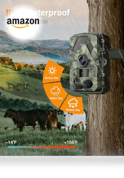 Trail Camera — Outdoor & Wildlife Cameras, EBXDW