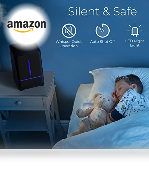 Cool Mist Humidifier — Air Moisturizers, Everlasting Comfort