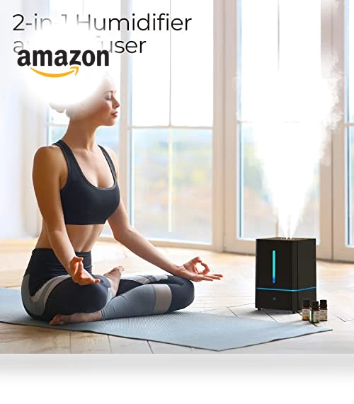 Cool Mist Humidifier — Air Moisturizers, Everlasting Comfort