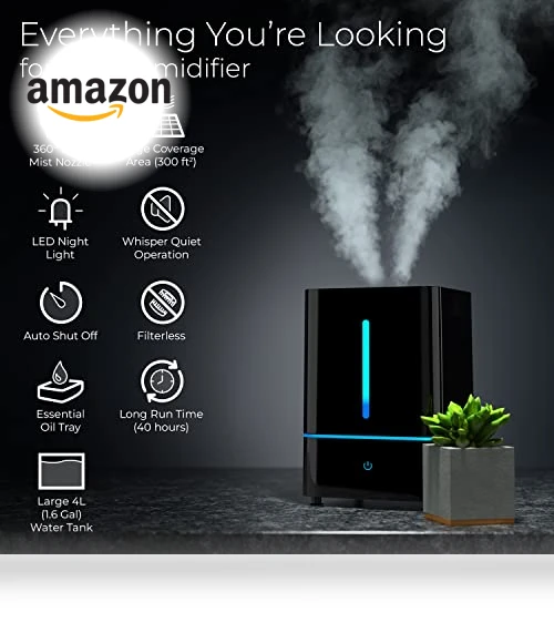 Cool Mist Humidifier — Air Moisturizers, Everlasting Comfort