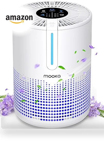 H13 HEPA Air Purifier — Activated Carbon Air Purifiers, Mooka