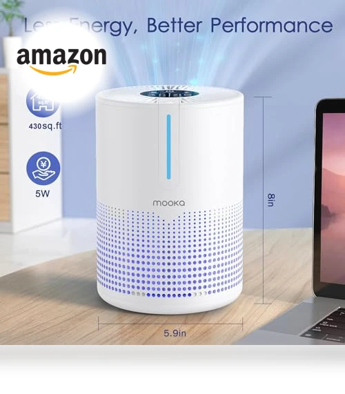 H13 HEPA Air Purifier — Activated Carbon Air Purifiers, Mooka