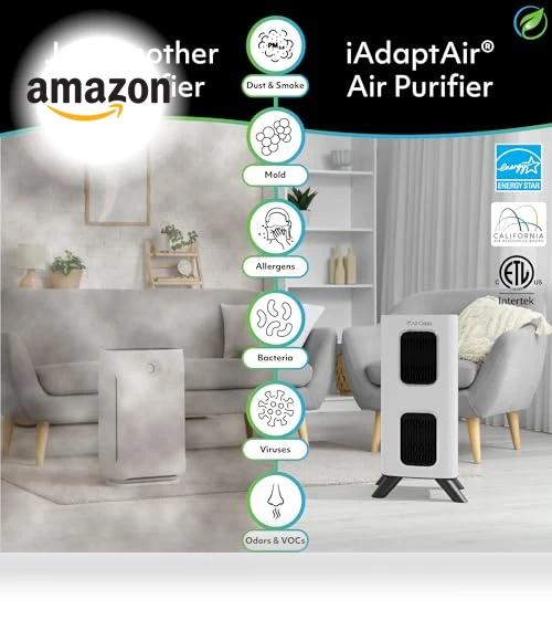 H13 HEPA Filter Air Purifier — Activated Carbon Air Purifiers, Air Oasis