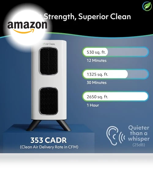 H13 HEPA Filter Air Purifier — Activated Carbon Air Purifiers, Air Oasis