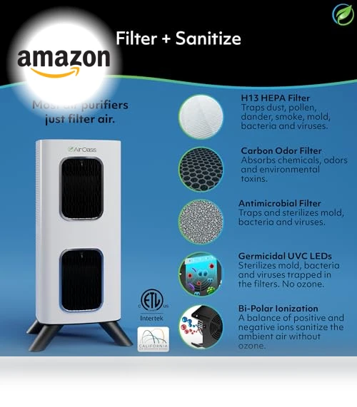 H13 HEPA Filter Air Purifier — Activated Carbon Air Purifiers, Air Oasis