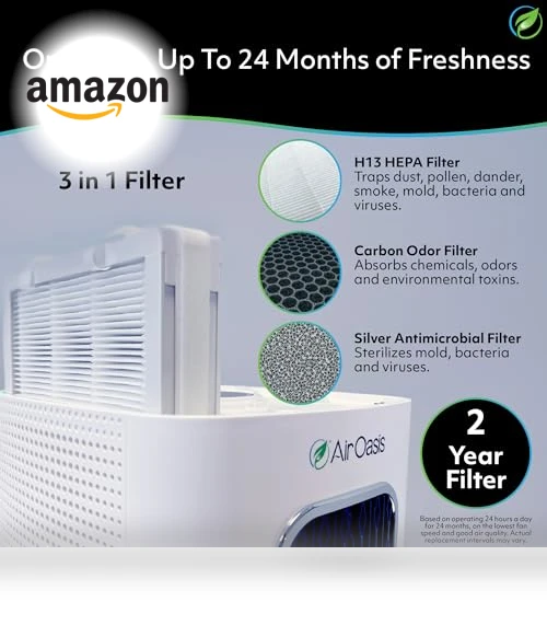 H13 HEPA Filter Air Purifier — Activated Carbon Air Purifiers, Air Oasis