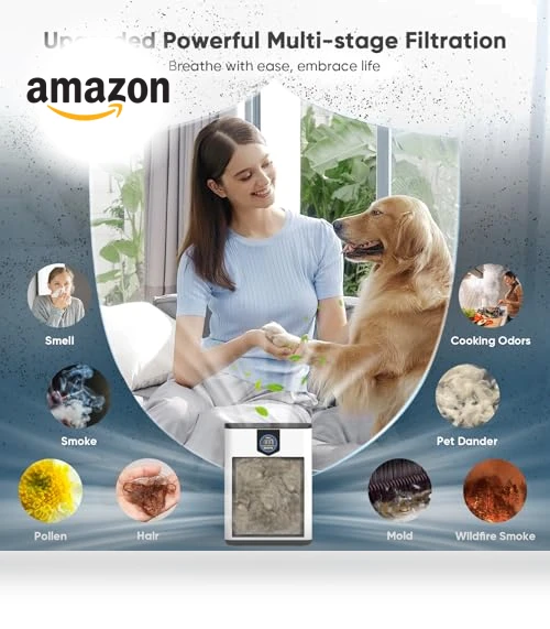Home Air Purifier with H14 HEPA Filters — HEPA Air Purifiers, DAYETTE