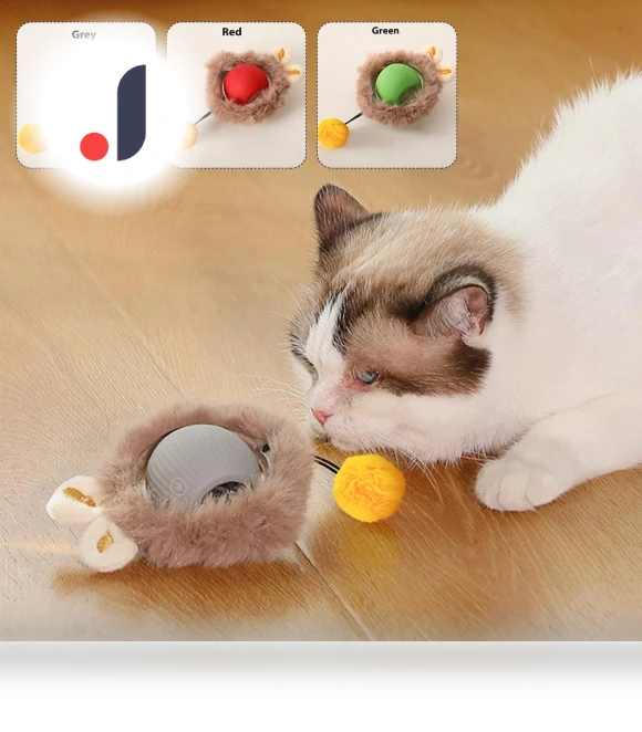 Interactive Pet Toy Ball — Cat Playthings, grocercollect