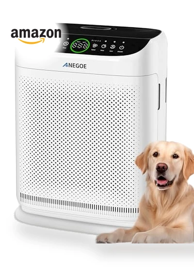 Large Room Air Purifier — Activated Carbon Air Purifiers, AnEgoe