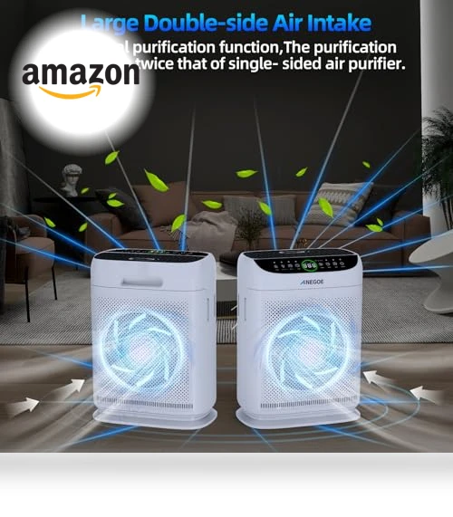 Large Room Air Purifier — Activated Carbon Air Purifiers, AnEgoe