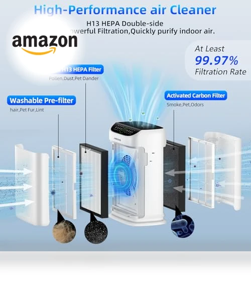 Large Room Air Purifier — Activated Carbon Air Purifiers, AnEgoe