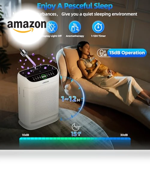 Large Room Air Purifier — Activated Carbon Air Purifiers, AnEgoe
