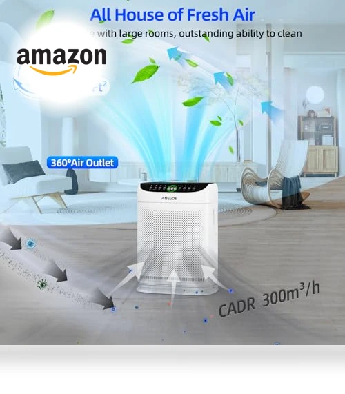 Large Room Air Purifier — Activated Carbon Air Purifiers, AnEgoe