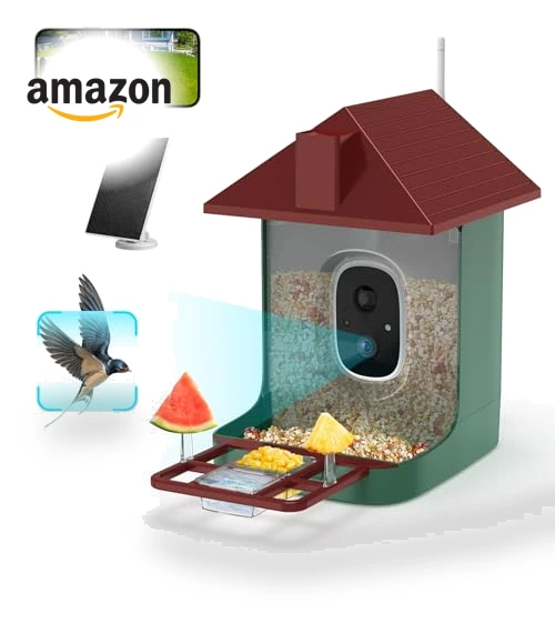 Smart Bird Feeder with Camera — Backyard Birding, Mstulp