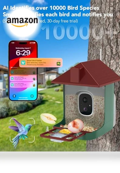Smart Bird Feeder with Camera — Backyard Birding, Mstulp