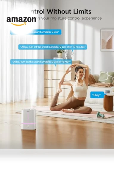 Smart Cool Mist Air Humidifier — Air Moisturizers, GoveeLife