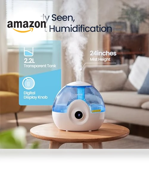 Cool Mist Humidifier — Air Moisturizers, raydrop