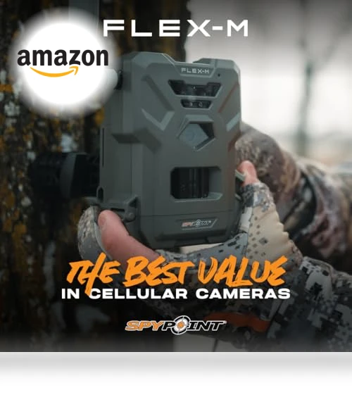 Flex-M Twin Pack Cellular Trail Cameras — Outdoor & Wildlife Cameras, SPYPOINT