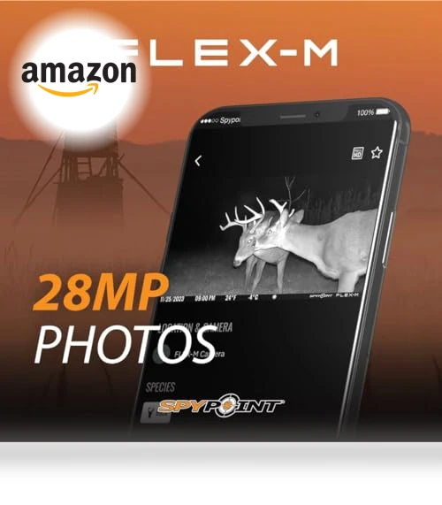 Flex-M Twin Pack Cellular Trail Cameras — Outdoor & Wildlife Cameras, SPYPOINT