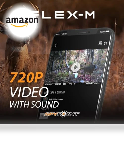 Flex-M Twin Pack Cellular Trail Cameras — Outdoor & Wildlife Cameras, SPYPOINT