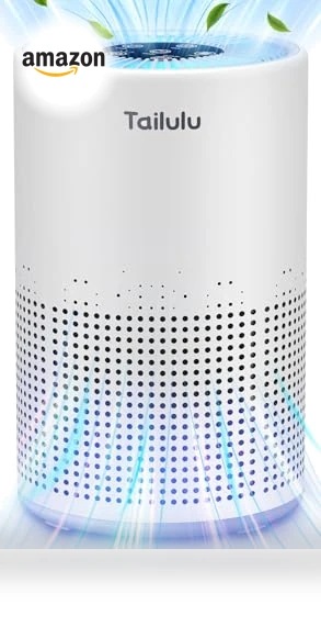 H13 True HEPA Air Filter Portable Air Purifier — Activated Carbon Air Purifiers, Tailulu