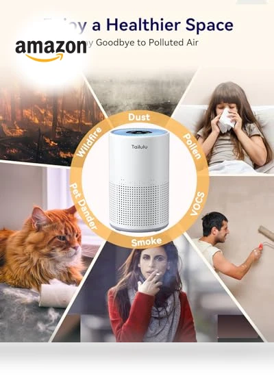 H13 True HEPA Air Filter Portable Air Purifier — Activated Carbon Air Purifiers, Tailulu