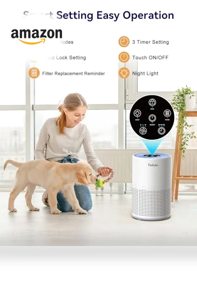 H13 True HEPA Air Filter Portable Air Purifier — Activated Carbon Air Purifiers, Tailulu