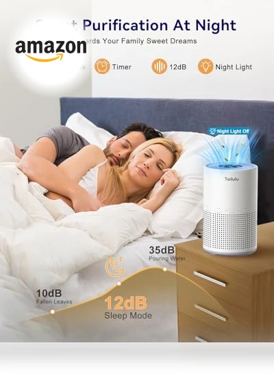 H13 True HEPA Air Filter Portable Air Purifier — Activated Carbon Air Purifiers, Tailulu