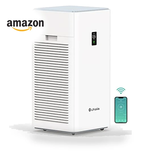 Large Room Air Purifier — Activated Carbon Air Purifiers, Lifubide