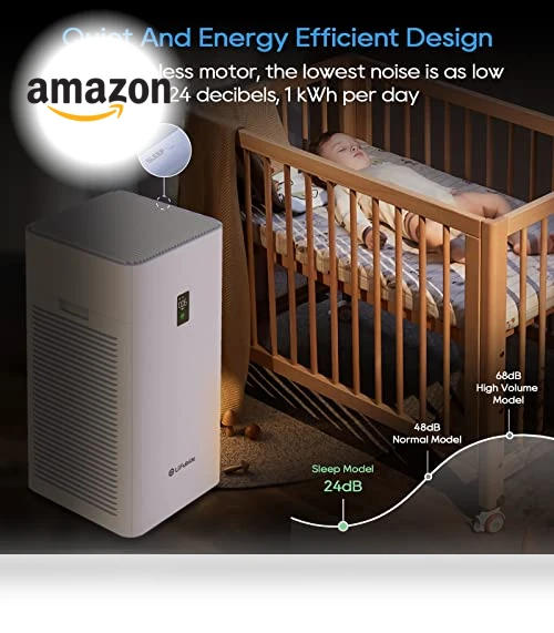 Large Room Air Purifier — Activated Carbon Air Purifiers, Lifubide