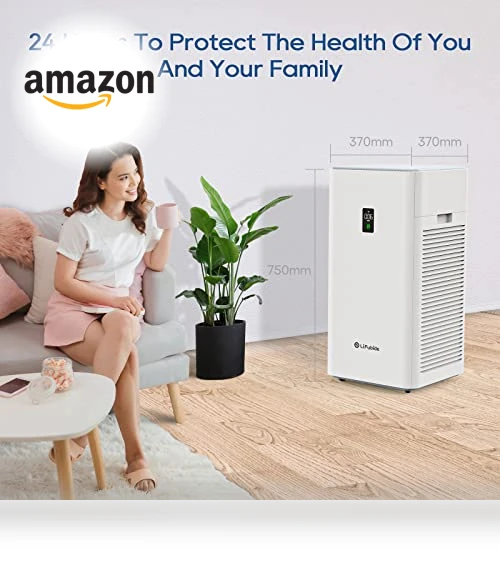 Large Room Air Purifier — Activated Carbon Air Purifiers, Lifubide