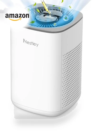 Small Air Purifier with Essential Oil Diffuser — Activated Carbon Air Purifiers, Priestley
