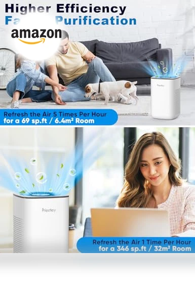 Small Air Purifier with Essential Oil Diffuser — Activated Carbon Air Purifiers, Priestley