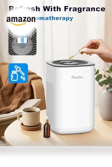 Small Air Purifier with Essential Oil Diffuser — Activated Carbon Air Purifiers, Priestley